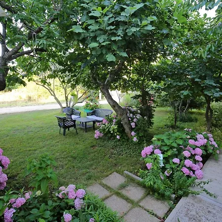 Vera - 150 M From Sea Appartement *